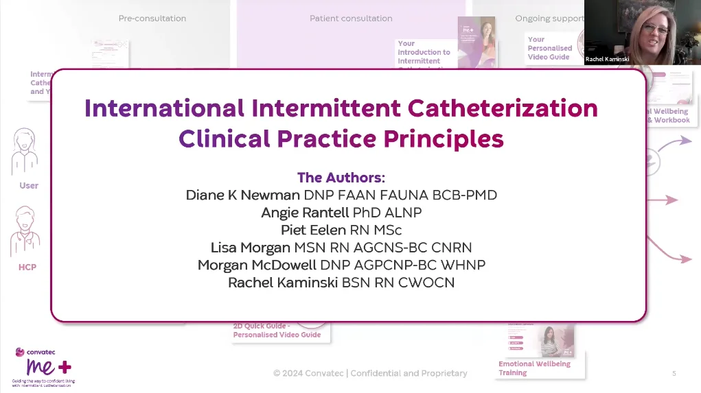 graphical user interface, text, application