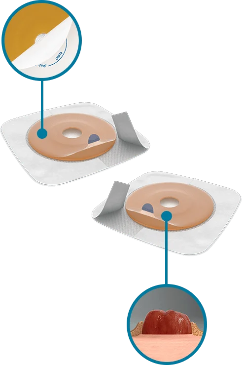 a drawing of adhesives